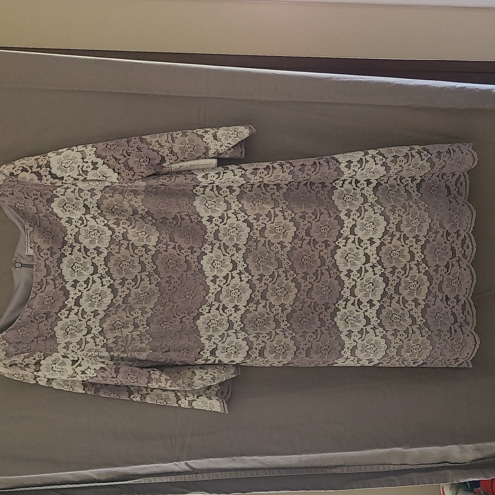 J Howard plus size dress. Gray lace.